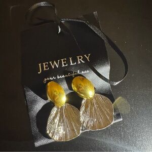 Elegant Gold and Silver Earrings